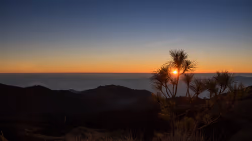 Item #41016340276136272437593840825708258407037396830717987725794146096397798080513 Media