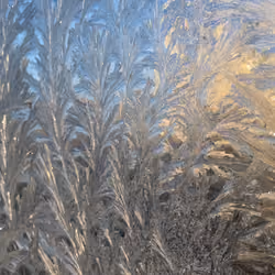 Frozen window