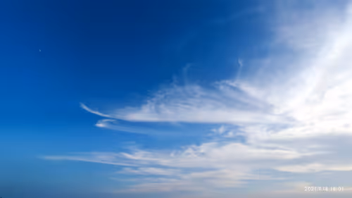 Item #51242197866213578522358095543323485315570332094438075626558359880739204366337 Media