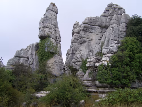 Item #7967281033894542222055828877453032867342209807388350993583448290328636817409 Media