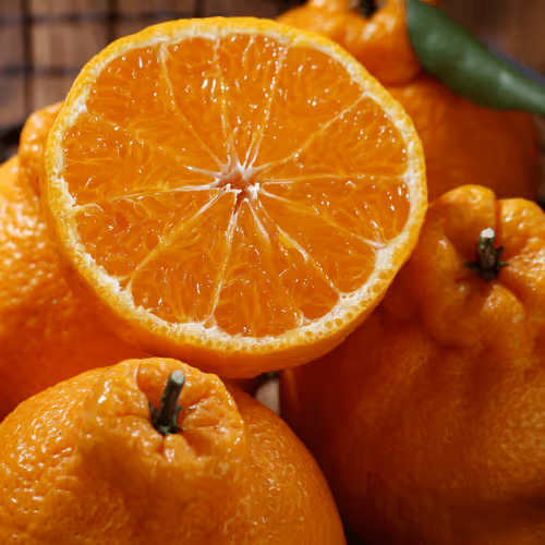 Item #975170699457049029614786954905647393768291899021253646124271948083171950593 Media