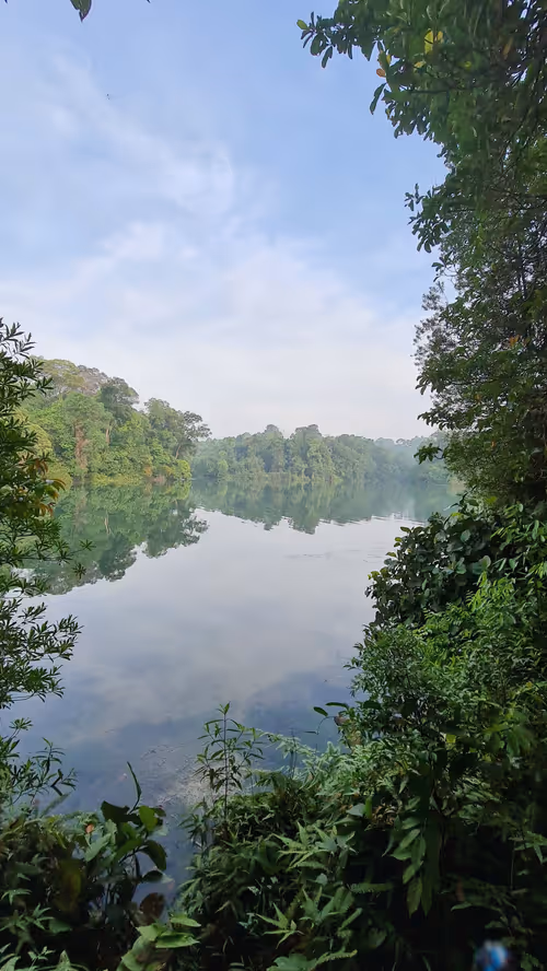 Item #92102367061063309777516937454515010530577803003562200099227054006523528216577 Media