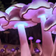 44746796731085357393502411190502551616164880256621162007128758447263564431361