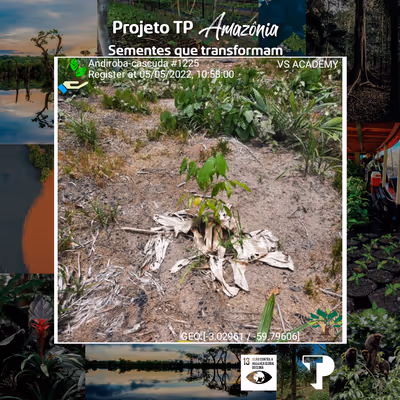 Item #8500196597889277390194123329501889087166328879864934763448349204147337166849 Media