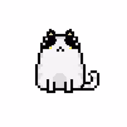 NFTCAT#04