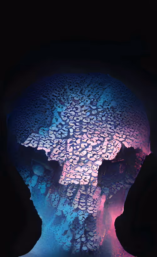 Item #45334260737191986285360123932213895980337017896394818583701391388537633374209 Media