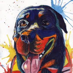 88392049109375850439574262012811564620955616675651121480724544710495877201921