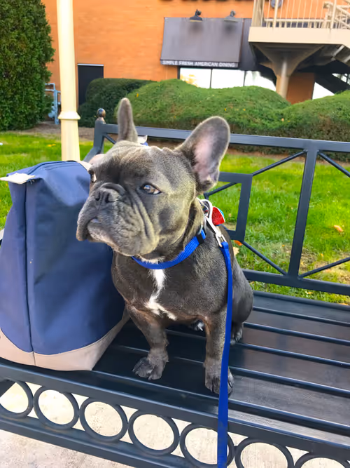 Item #99031261785432219130552668818269695456905868997165113515571762499571138166785 Media