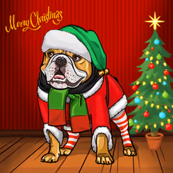 XMAS #1011