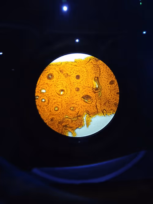 Item #95420953128624320217938367314518664826896982379798893312706769389268018135041 Media