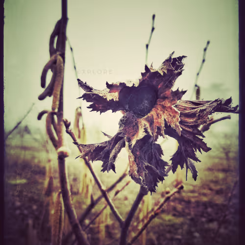 3787080761074609709675817509753112159059746763483256848434353834873338200065