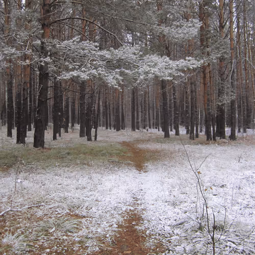 Item #39781805688626842994046507888546694714899270474383352618679520629203788627969 Media