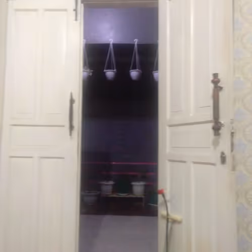 Bangdikss Collection