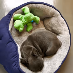 99031261785432219130552668818269695456905868997165113515571762275270766100481