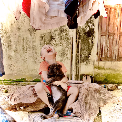 Untitled Collection #157018233