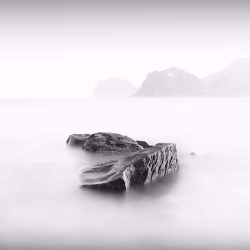 Item #70830499516803690530292841418532272152455647226891505709154461705458885328897 Media