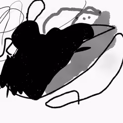 The shadow side
