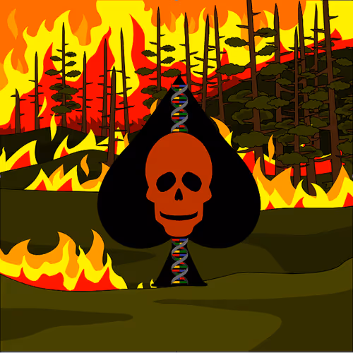 Item #108351031630289637415897530635651202870859629052616286877022309908162004647939 Media