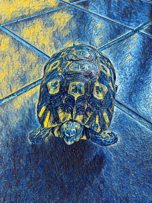 Item #113549443729585634184142871702156049309716598112415025024923876506127321530375 Media