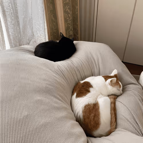 Item #57432309319676179700798702069366385585354272226932054472084542039791427911681 Media