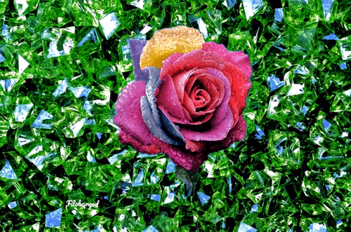 77868307281678055080241722616571579042302916314068814689277648284501044887553