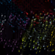 30994161492133770211680118457175216962879866236796525839820792925607902052353
