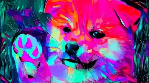 Danny Art