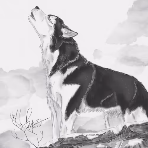 Item #59698995597156753521260483355934506753642150267256783215488822639029605367809 Media