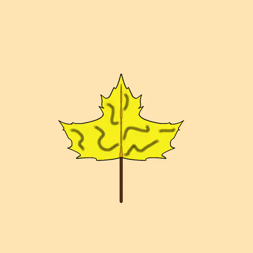 Item #67442861663334708568431626599499864796798009138674433109352703169509176901633 Media