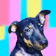 101460403925694402031256207655092988924298648410115039985064137016836878237846