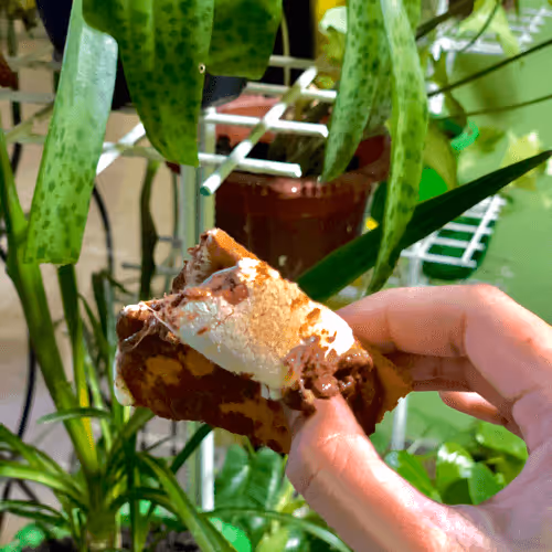 Untitled Collection #79862350 - old