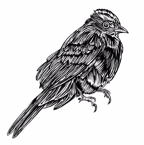 Item #106782413735208635119902631954591554085326486198823525899390614740557465911297 Media