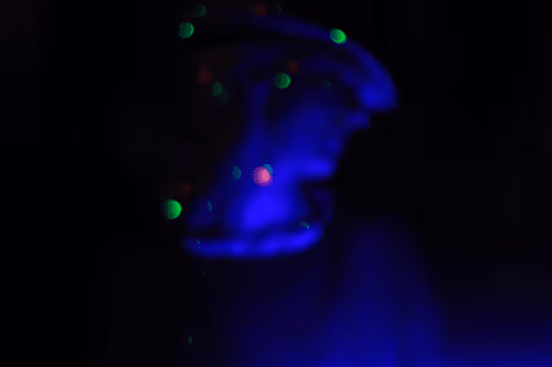 Item #25388429571187189400142896144030193801342767201083735738326485287093504311297 Media