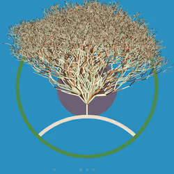 74168867016011539093366687608765447348507224284888477074887989690189876297729