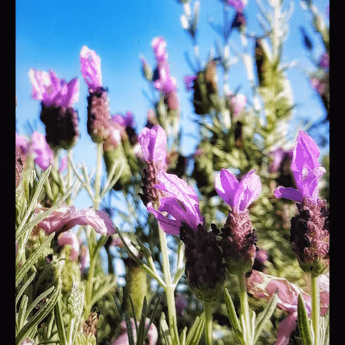 3787080761074609709675817509753112159059746763483256848434353762305570766849