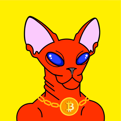 Crypto Sphinx Cat #71
