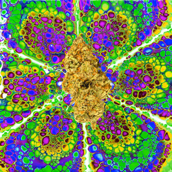 13955282856406335165414100891374623718709547313428947888299033975848020475914