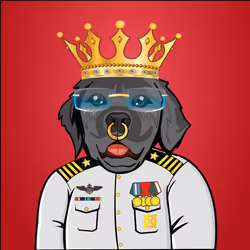 91655410557744893771831586830451060185116832686887291820253915511144816050177