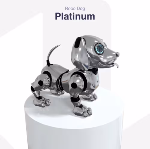 Item #5879345376184200557725520471423136969038059855981730232289353923251260096522 Media