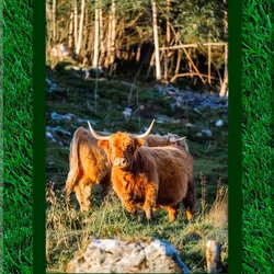 108065665434435766760522700651324844344204555372000129092130959984804210147338