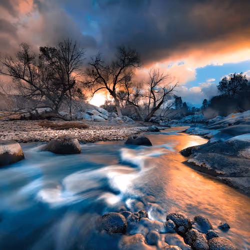 Item #80945017651132606046925321968392710972179172337061166410157624289559071162371 Media