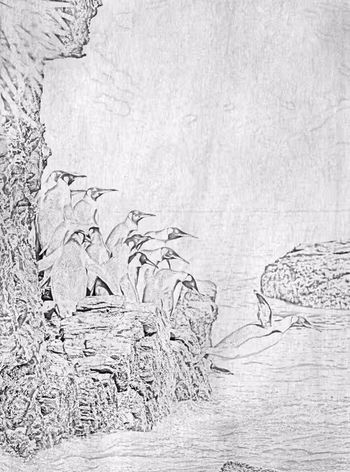 Item #104571871624713793639651805658793486494192065920849225127728493733199487172609 Media