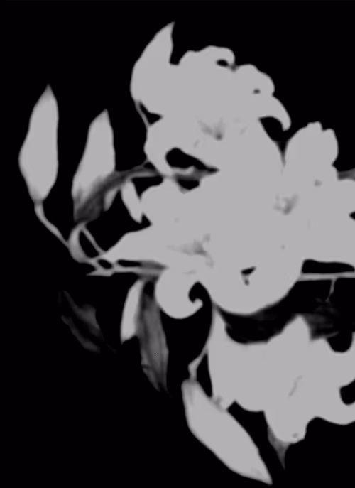 Item #67553364102704910052786438722982539447022718177836165747965600742885744967681 Media