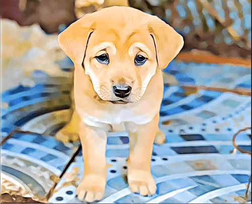 Item #9420212716573684337876521908719794516335254946716065861737086792295793033217 Media