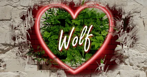 Item #68053287575525751288269231675427811746861684968250582901590729629916532310026 Media