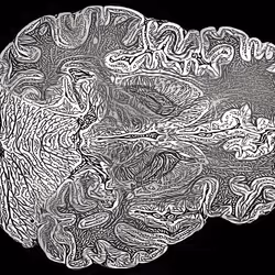 29877578668728852178902598419785793077778618348046200683544678309651990708225