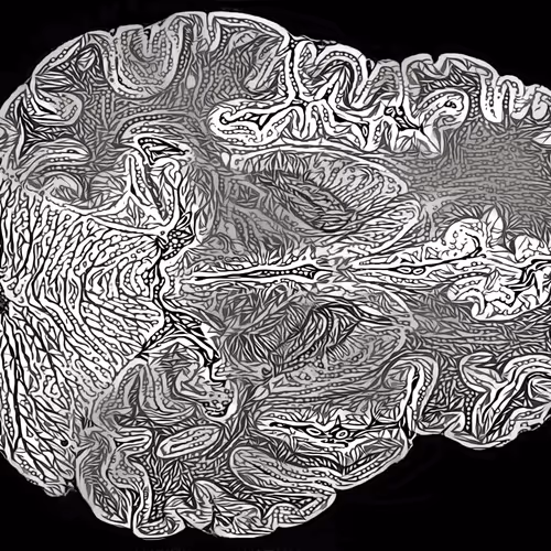 Item #29877578668728852178902598419785793077778618348046200683544678309651990708225 Media