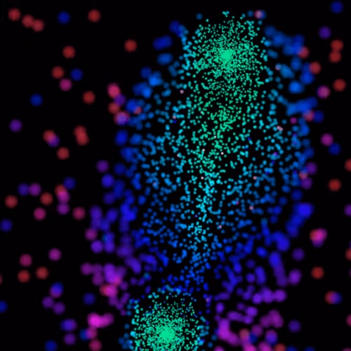 Item #88208655055871261960129437524118504800489196864708373592270836183495318962177 Media