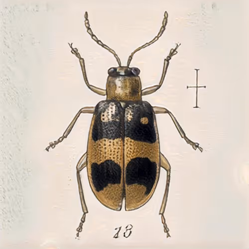 Item #58241160855422744817468407088196322100109565521561100950236904624497390256129 Media