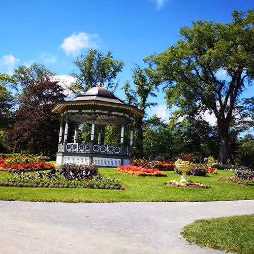 Untitled Collection #2980461780